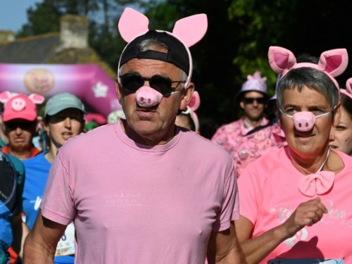 En Bretagne, une course pour valoriser le cochon, sans faire taire les polémiques