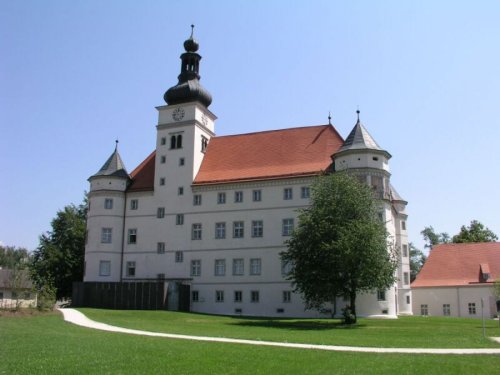 Découverte d’un champ de cendres au château de Hartheim, l’un des centres de mise à mort des personnes handicapées sous le régime nazi