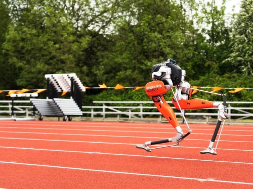 Le robot bipède Cassie décroche le record du 100 mètres - Sciences et Avenir