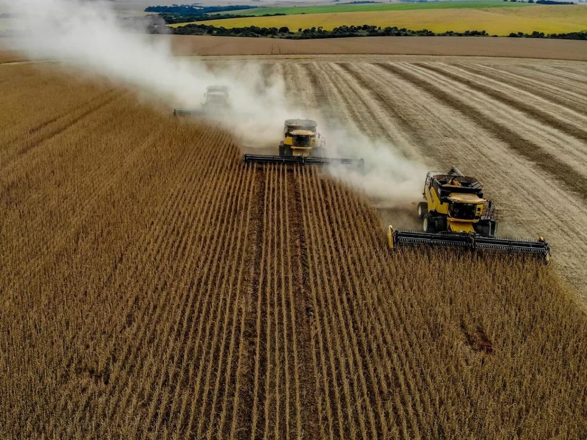 Voici comment le soja est devenu la graine la plus puissante du monde