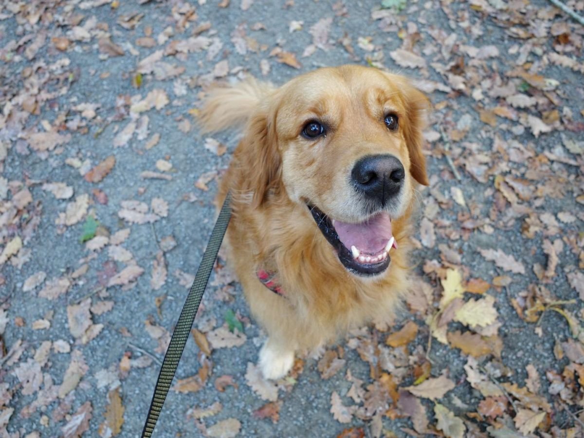 10 bonnes nouvelles et belles découvertes scientifiques de novembre 2025