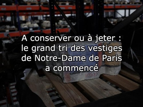 Vestiges de Notre-Dame de Paris, chikungunya et origine du T. rex : l’actu des sciences en ultrabrèves
