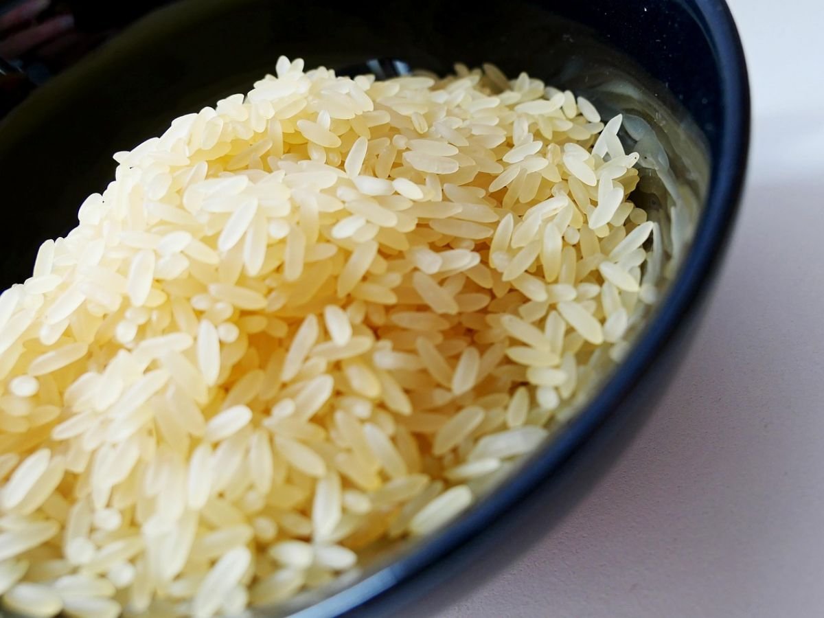 Un riz bon pour la planète, ça existe