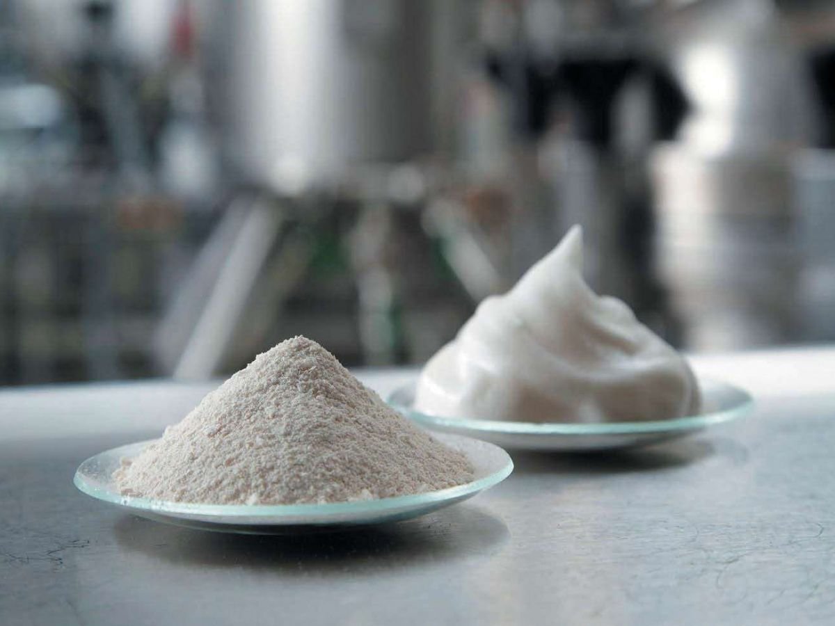 Agroalimentaire : du lait et de la viande sans vache