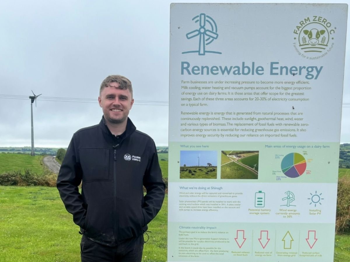 En Irlande, la bataille pour le climat se joue dans les champs