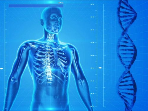 Comment l'humain va-t-il évoluer ?