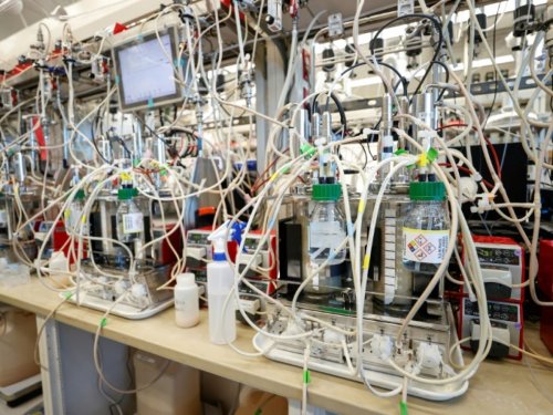 Une entreprise américaine recycle les gaz des usines en produits du quotidien - Sciences et Avenir