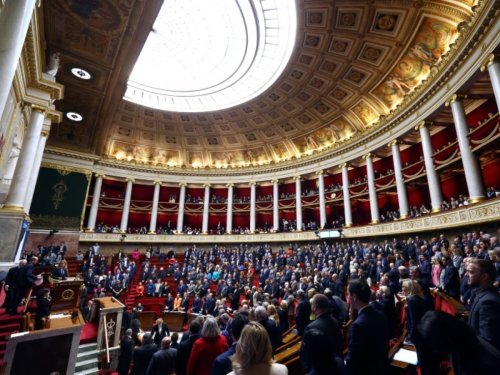 Assemblée: la réintroduction de néonicotinoïdes joue son match retour en commission