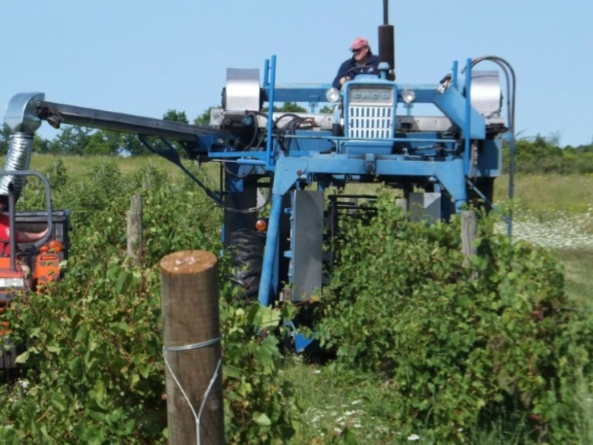 Un herbicide sur la sellette aux Etats-Unis pour son lien potentiel avec la maladie de Parkinson
