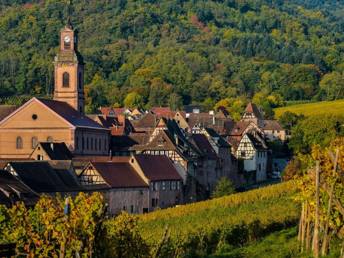 Pesticides : est-il dangereux de vivre près des vignes ? Voici les premiers résultats de la grande étude française PestiRiv
