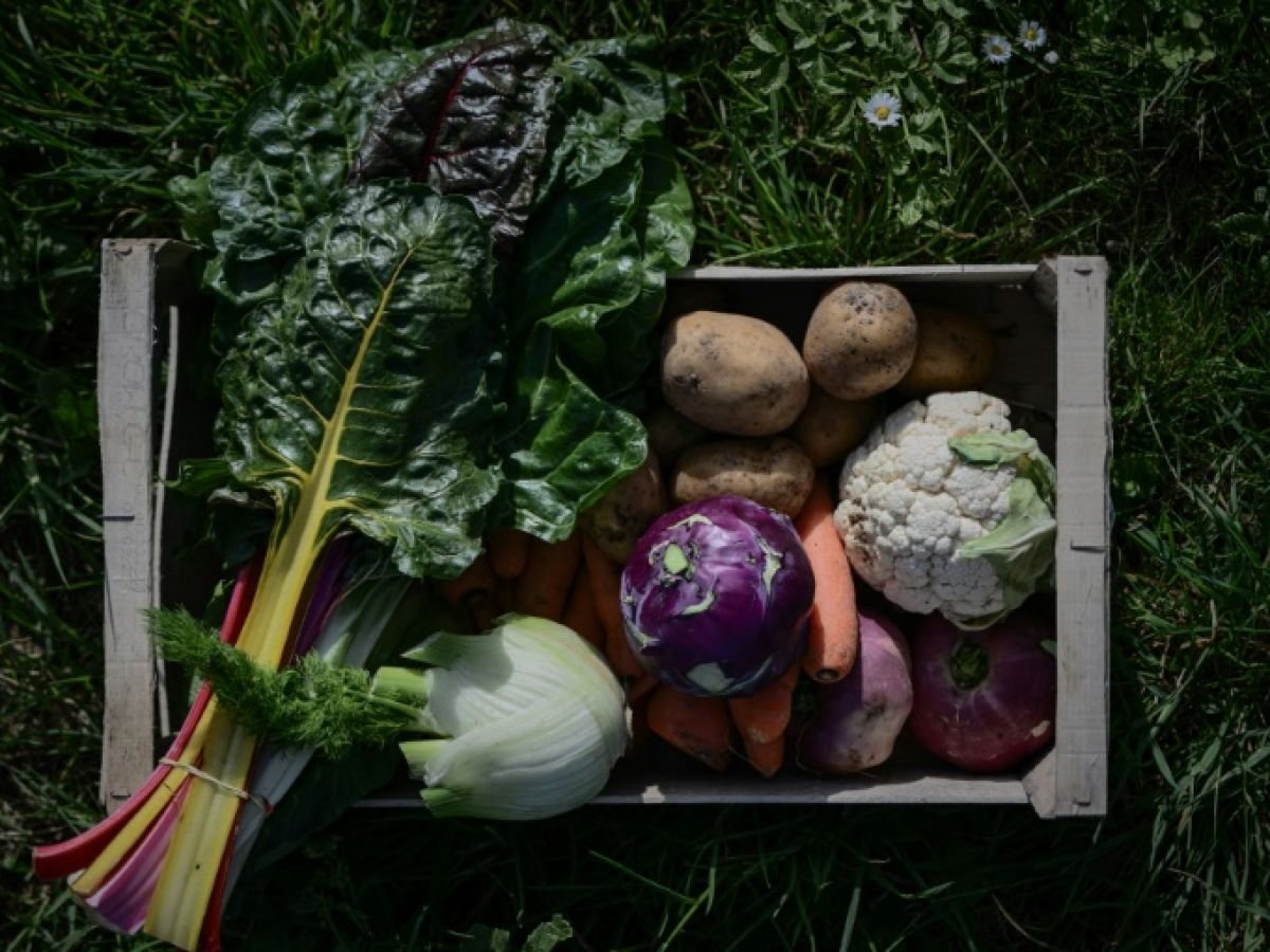 Les agriculteurs bio dénoncent un « hold-up » sur leurs aides