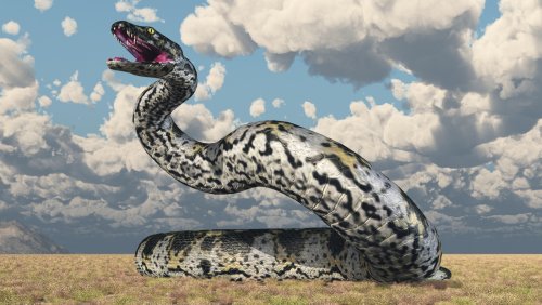What If Titanoboa Never Went Extinct?