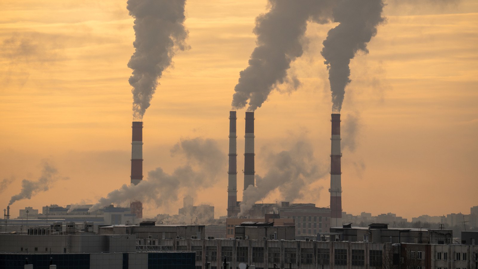 The Worst Impacts Global Warming Could Have In The Future