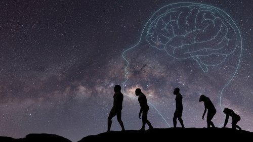 Human Evolution Discovery Stuns Scientists: We Were Off By 40 Million Years