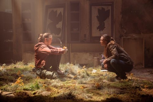 Could the Zombie Fungus in TV's The Last of Us Really Infect People?