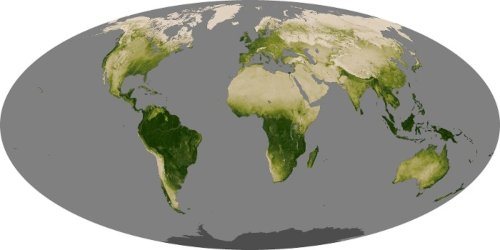 Earth Stopped Getting Greener 20 Years Ago