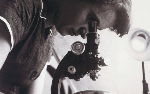 Rosalind Franklin Deserves a Posthumous Nobel Prize for Co-discovering DNA Structure