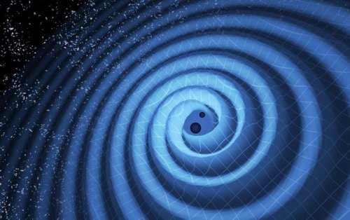 What 50 Gravitational-Wave Events Reveal about the Universe