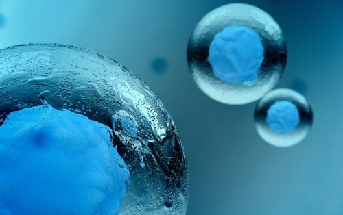 Billions of Dollars for Stem Cell Research Institute On California’s November Ballot