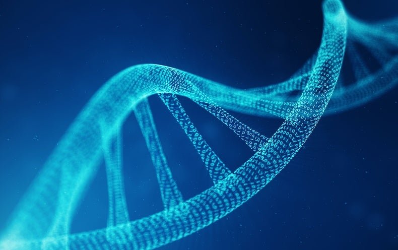 DNA: The Ultimate Data-Storage Solution