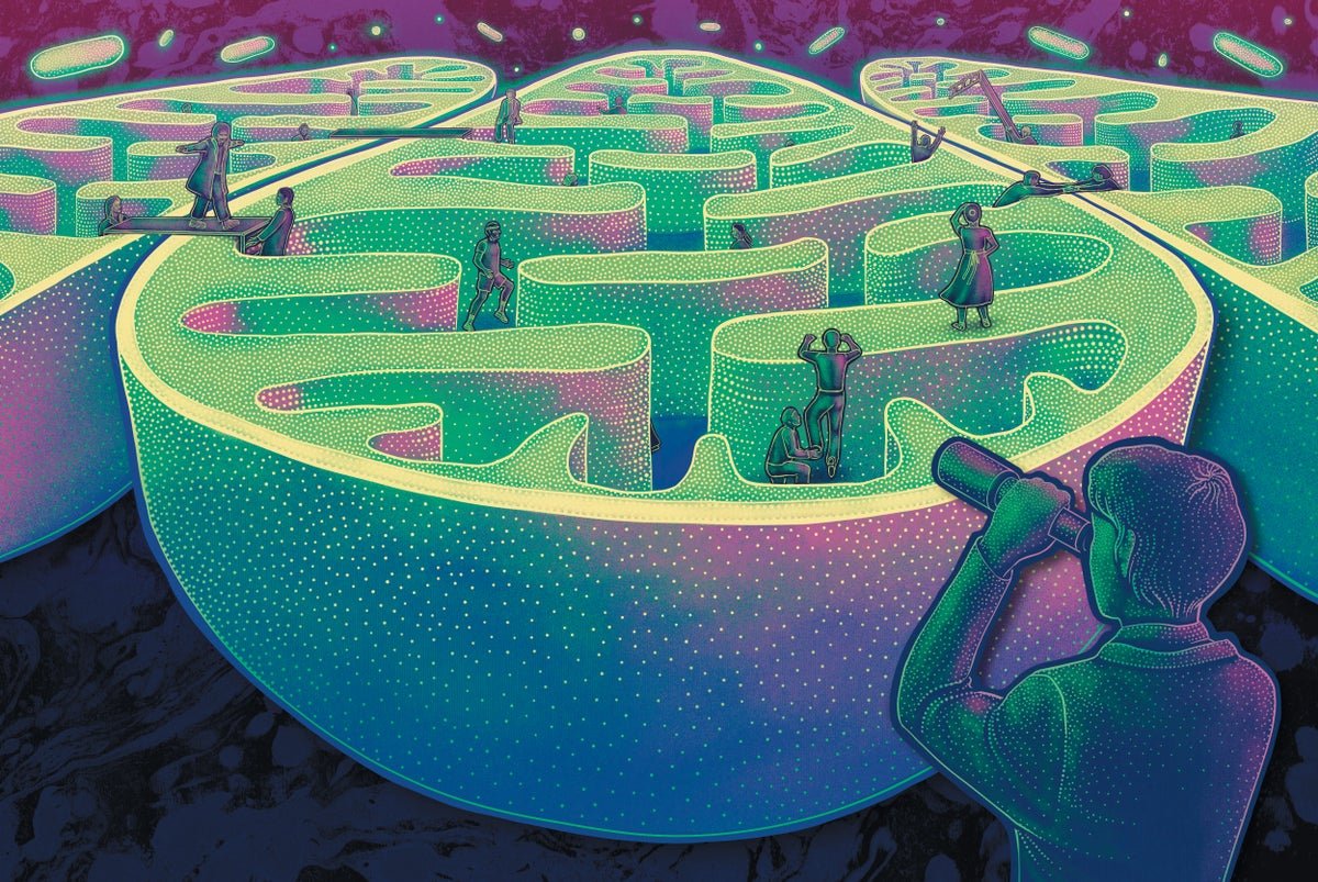 Why Mitochondria Are More like a Motherboard Than the Powerhouse of the Cell