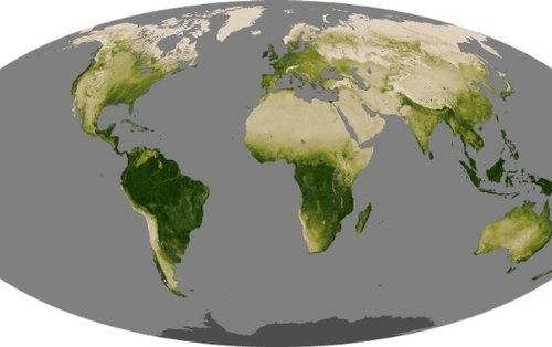Earth Stopped Getting Greener 20 Years Ago