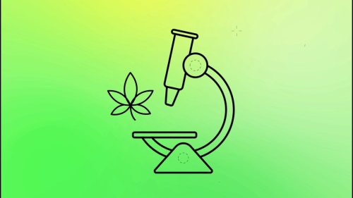 How THC, the Psychoactive Compound in Weed, Gets You High