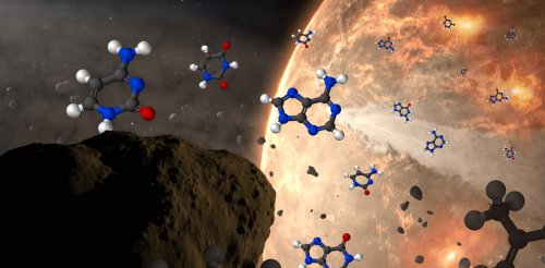 DNA-Basen in Meteoriten entdeckt
