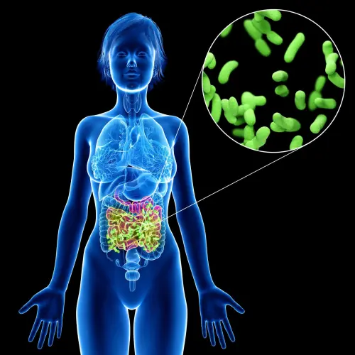 A New Connection: Gut Bacteria May Play a Role in Diabetes