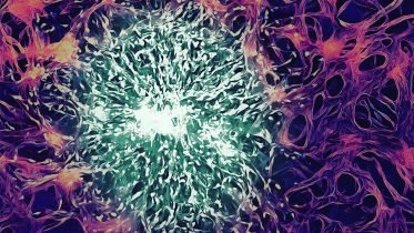 MIT Develops Nanoparticles That Cross the Blood-Brain Barrier To Treat Cancer Tumors