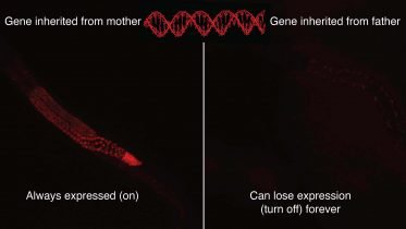 -Omics - cover