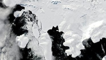 Wilkins Ice Shelf on the Edge As Scientists Race To Understand