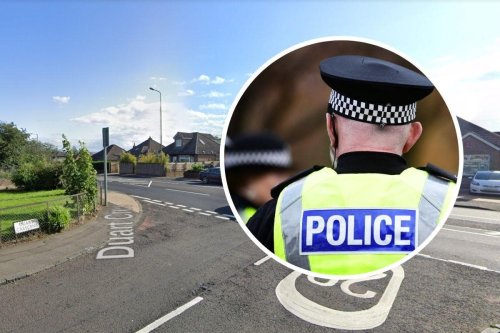 Edinburgh Crime: Man Arrested And Charged After Dog Attack That Left ...