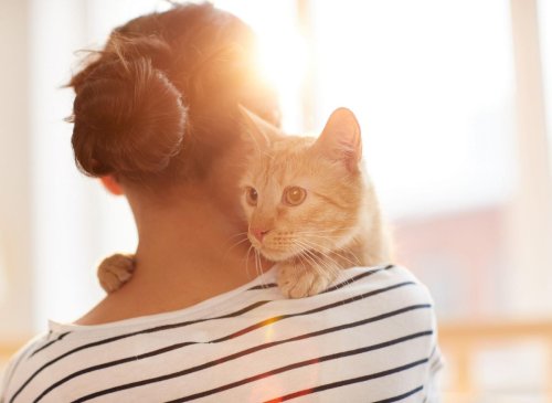 Making Friends WIth A Cat: Here are 10 expert tips on creating the perfect relationship with your cat 😺