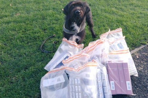 £26,000 worth of illegal and counterfeit tobacco and cigarettes is seized in Capital