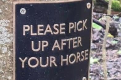 Fake Edinburgh council signs’ urging horse-riders to pick up poo to be removed