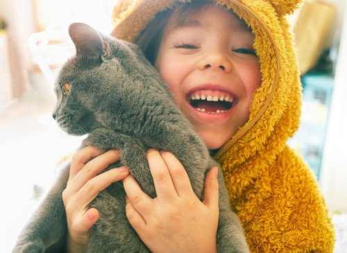 Most Child Friendly Cat Breeds: Here are 10 sweet cats that are best for households with kids 2022