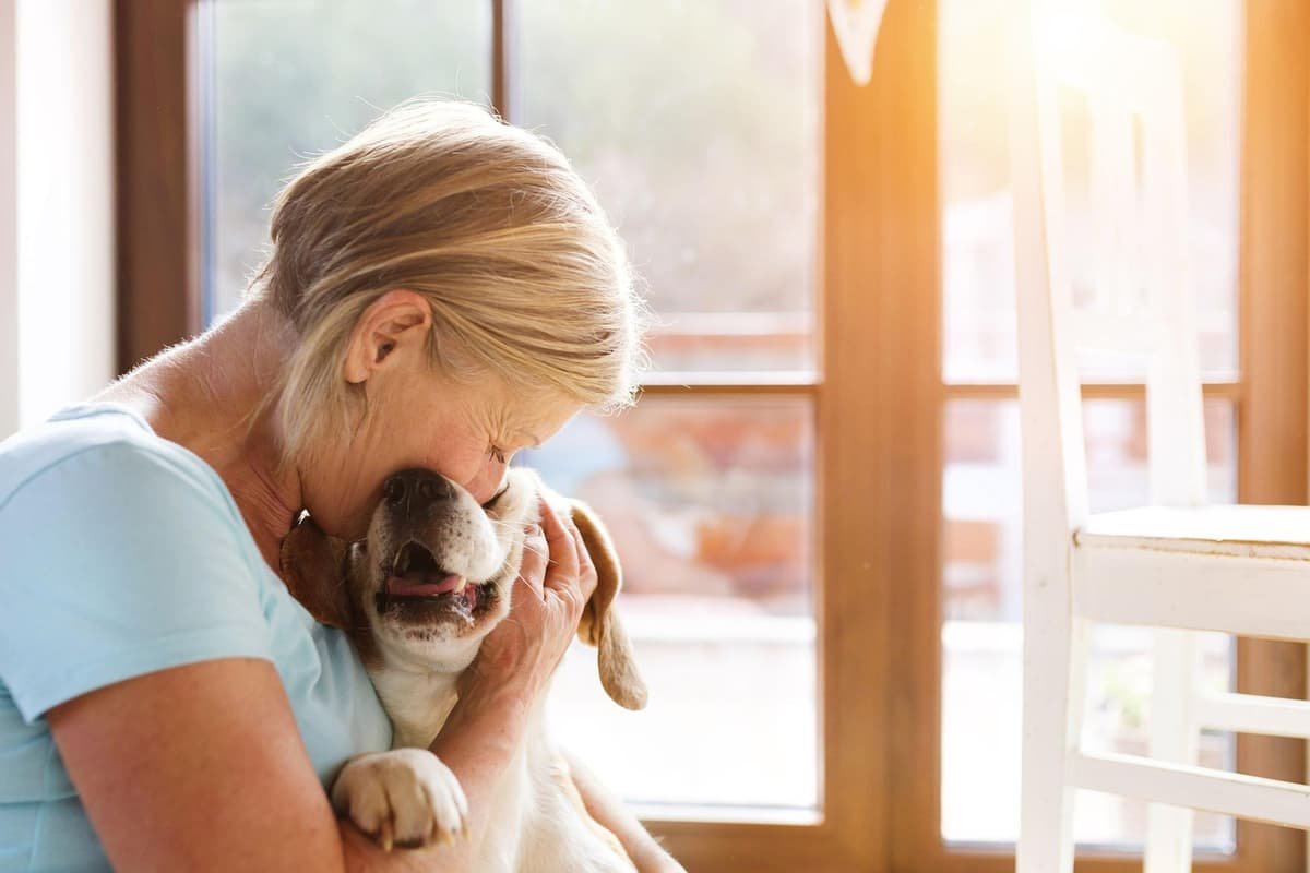 Dogs For Elderly Owners: Here are the 10 best breeds of adorable dog for older owners - including the loving French Bulldog 🐶