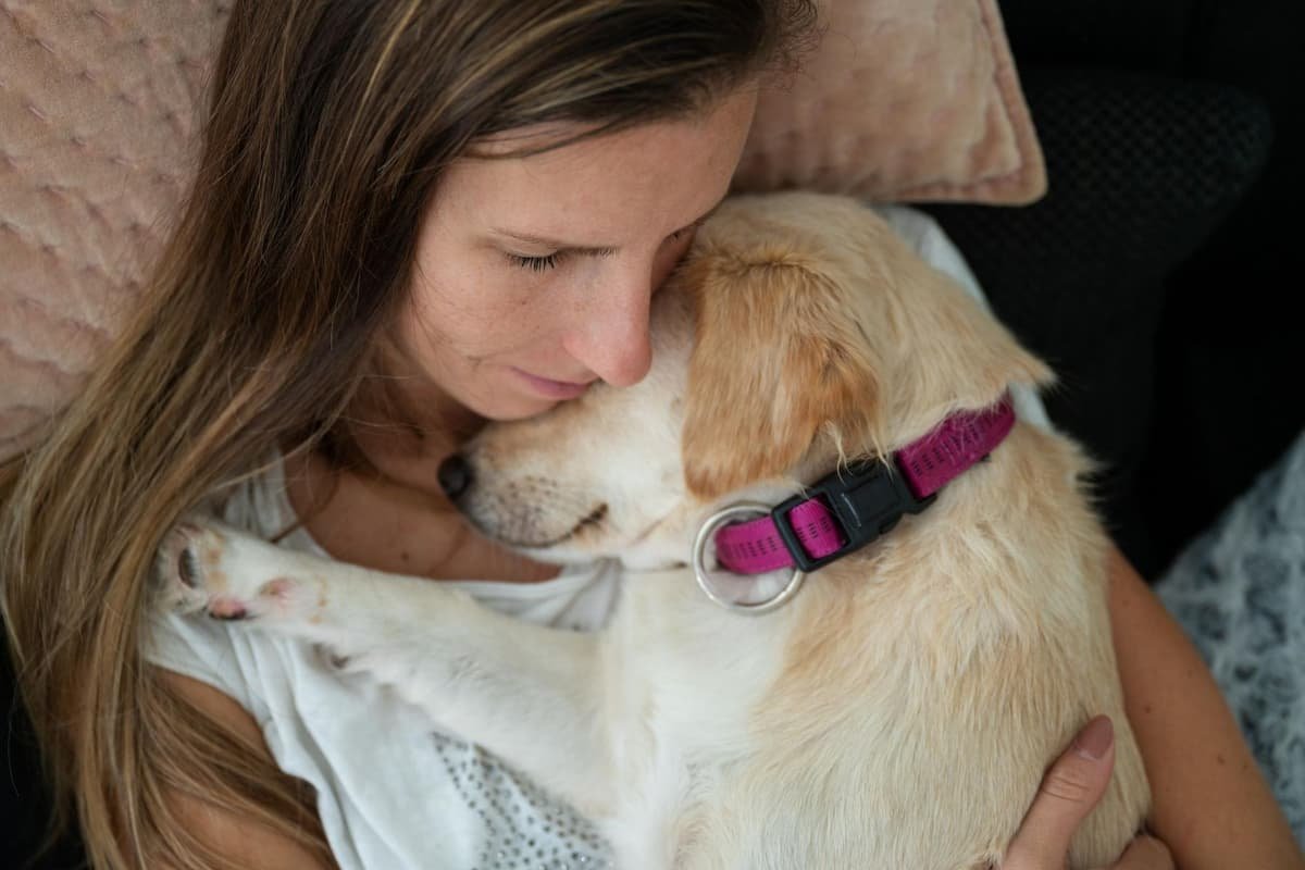 Affectionate Dogs: Here are the 10 most loving breeds of adorable dog that like cuddles and snuggles - including the loving Labrador Retriever 🐶