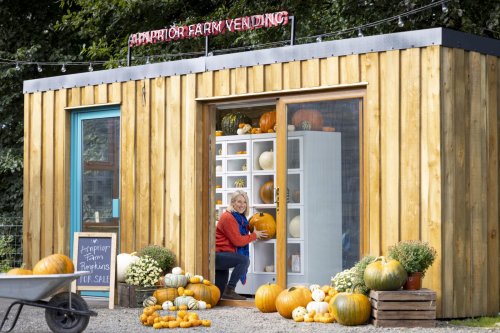 Arnprior Farm unveils pumpkin vending machine for Halloween 2022 | Scotsman Food and Drink