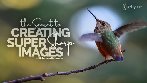 New Class: The Secret To Creating Super Sharp Images - Scott Kelby's Photoshop Insider
