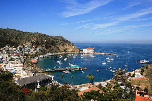 ‘Underwater Roombas’ Sweeping for DDT Barrels Off Catalina Island