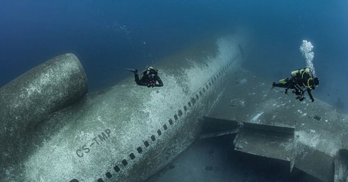 From the Skies to the Seas, Abandoned Airplane Becomes New Dive Site