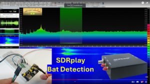 Bat detection with an SDRplay RSPdx - SDRplay