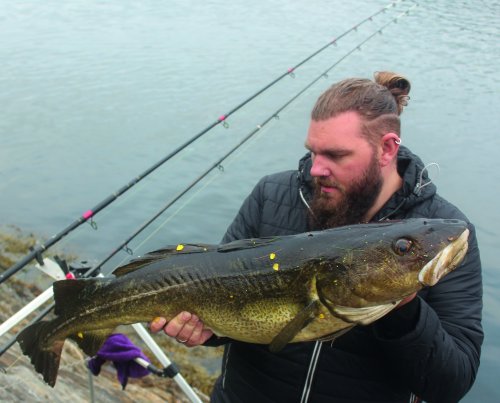 SEA ANGLER’S GUIDE TO CHOOSING THE RIGHT HOOKS