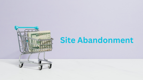 Site Abandonment – Turning Lost Visitors Into Loyal Customers