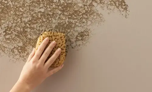 Discover How to Texture a Wall with a Sponge Like a Pro
