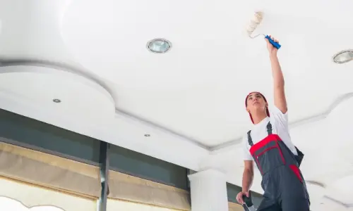 Transform Your Space Roofs with the Best Ceiling Paint