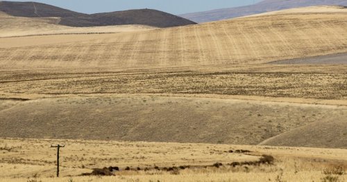 WA lost 14 farms a week during the last five years | Op-Ed