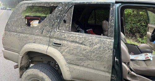 Man who allegedly shot at Thurston County deputies arrested